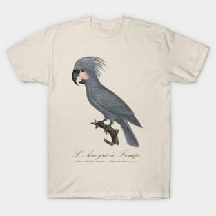 Grey Palm Cockatoo Parrot / L’Ara gris a Trompe - Jacques Barraband 19th century Illustration T-Shirt